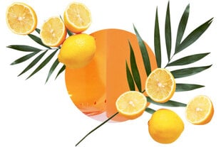 Набор аромата для дома и с марсельским мылом Mediteranean Citrus Carbaline 100 мл цена и информация | Carbaline Духи, косметика | 220.lv