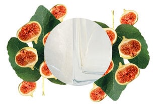 Набор аромата для дома с марсельским мылом FIG Carabaline 250 мл цена и информация | Ароматы для дома | 220.lv