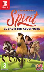 SWITCH Spirit: Lucky's Big Adventure. цена и информация | Компьютерные игры | 220.lv