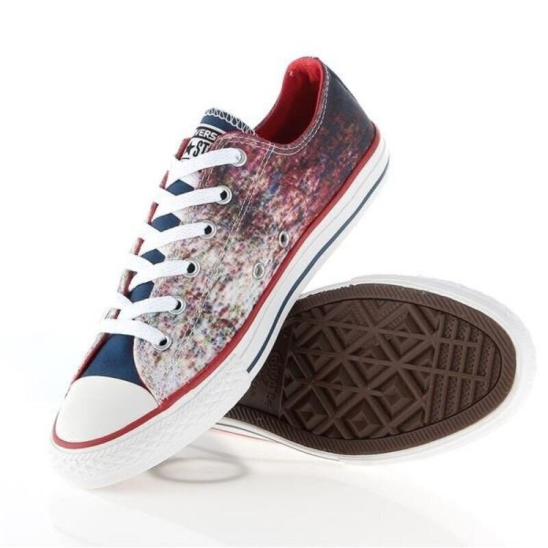 Sporta apavi bērniem Converse Chuck Taylor All Star Jr 647644C cena un informācija | Sporta apavi bērniem | 220.lv