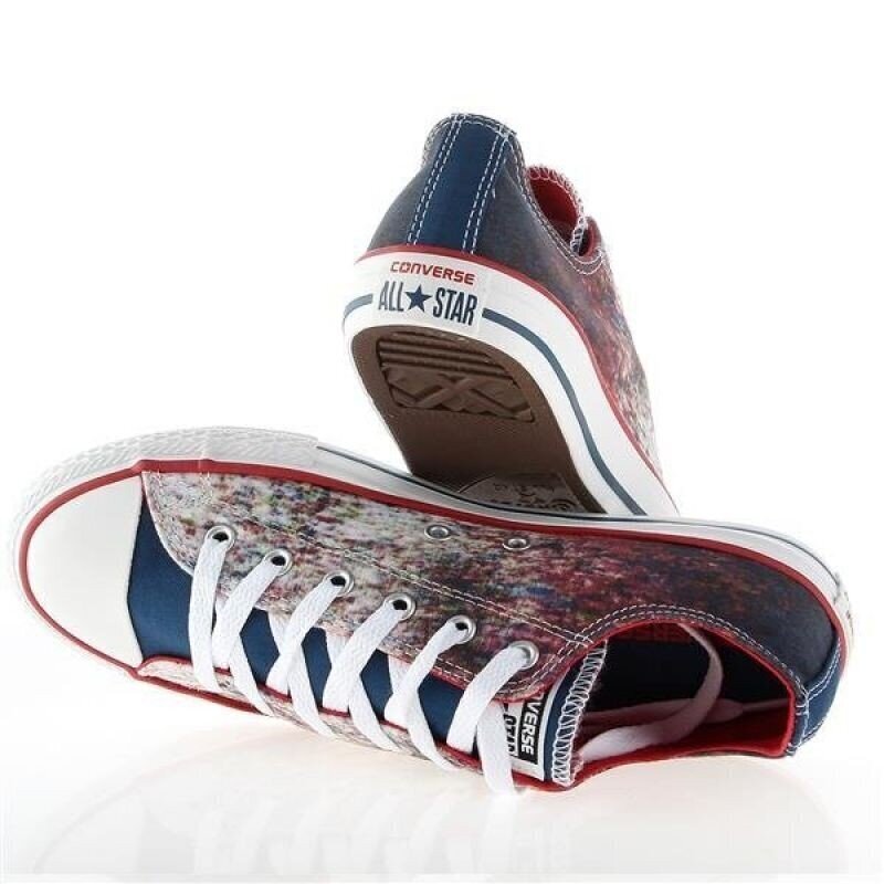 Sporta apavi bērniem Converse Chuck Taylor All Star Jr 647644C cena un informācija | Sporta apavi bērniem | 220.lv