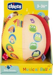 Мягкий музыкальный шар Chicco 372544 цена и информация | Игрушки для малышей | 220.lv
