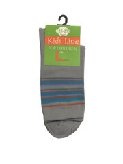 Подростковые носки (Светло-серого цвета) цена и информация | Носки, колготки для мальчиков | 220.lv