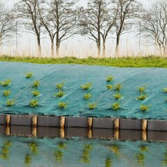 Nature augsnes pārsegs, 4,2x5 m, zaļš cena un informācija | Dārza instrumenti | 220.lv