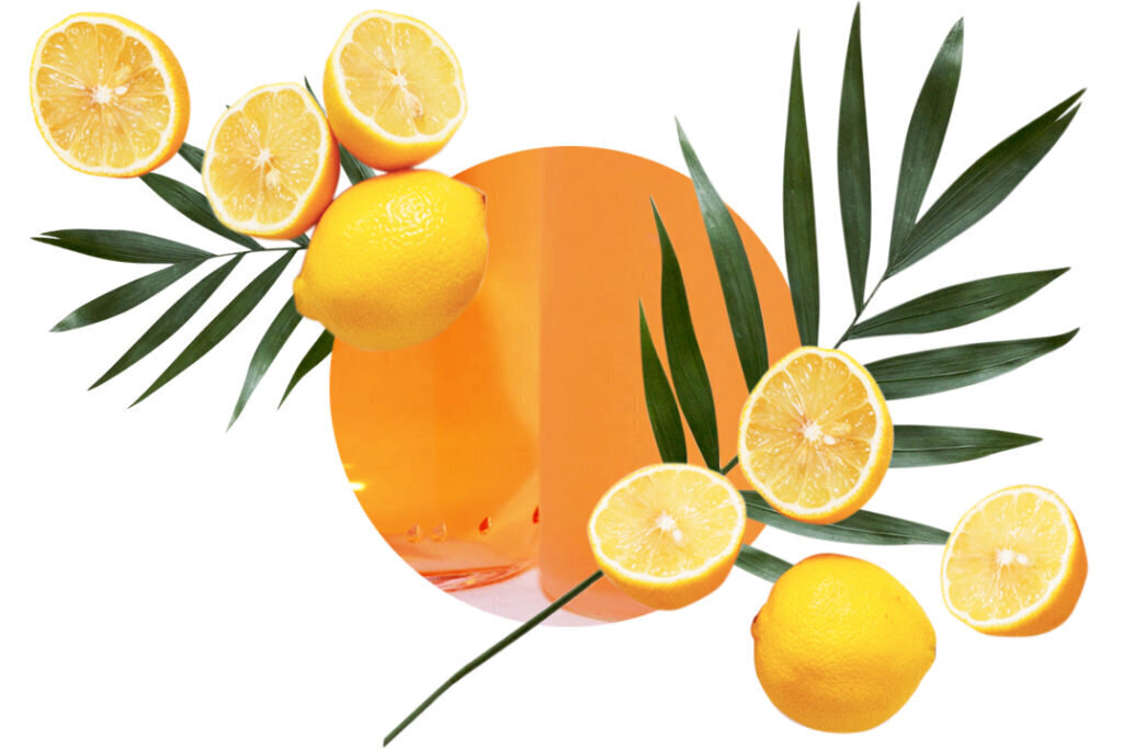 Mājas smaržu Mediteranean Citrus komplekts Carbaline 100ml+ 20ml cena un informācija | Mājas aromāti | 220.lv