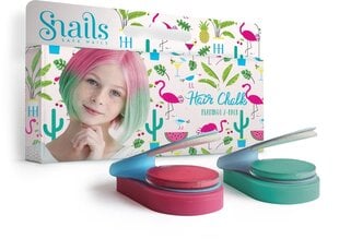 Snails Hair Chalks Flamingo Art.0782 Мелки для волос цена и информация | Краска для волос | 220.lv