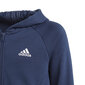 Adidas Sporta Tērpi G Hooded Co Ts Blue GM8930/164 cena un informācija | Komplekti meitenēm | 220.lv