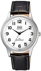 Женские часы Q&Q C214J304 цена и информация | Женские часы | 220.lv