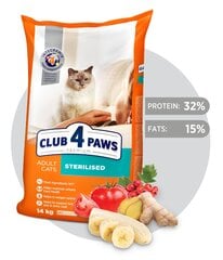 CLUB 4 PAWS Premium pilnvērtīga sausā barība pieaugušiem kaķiem Sterilized, 14kg цена и информация | Сухой корм для кошек | 220.lv