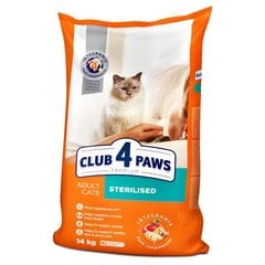 CLUB 4 PAWS Premium pilnvērtīga sausā barība pieaugušiem kaķiem Sterilized, 14kg цена и информация | Сухой корм для кошек | 220.lv