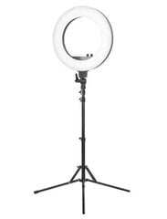 Gredzenveida LED lampa XXL izmērā (44 cm) ar tālvadības pulti un statīvu цена и информация | Осветительное оборудование для фотосъемок | 220.lv