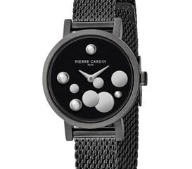 Женские часы Pierre Cardin CCM.0500 цена и информация | Женские часы | 220.lv