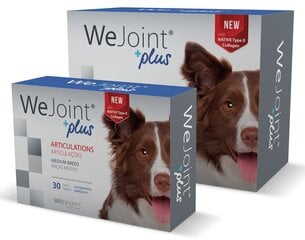 WEJOINT PLUS MEDIUM BREED garšīgās tabletes vidēja auguma suņiem (30 tabletes) цена и информация | Витамины, пищевые добавки, анти-паразит продукты для собак | 220.lv