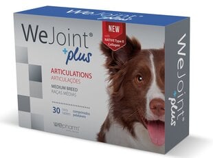 WEJOINT PLUS MEDIUM BREED garšīgās tabletes vidēja auguma suņiem (30 tabletes) cena un informācija | Vitamīni, uztura bagātinātāji, pretparazītu līdzekļi suņiem | 220.lv