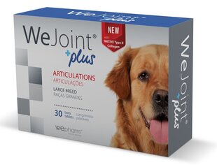 WEJOINT PLUS LARGE BREED garšīgās tabletes lieliem suņiem (30 tabletes) cena un informācija | Vitamīni, uztura bagātinātāji, pretparazītu līdzekļi suņiem | 220.lv