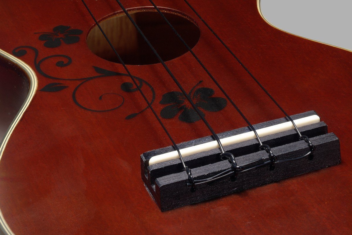 Soprāna ukulele + futrālis Stagg US20 FLOWER цена и информация | Ģitāras | 220.lv