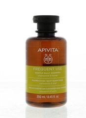 Matu šampūns Apivita Gentle Daily, 250 ml cena un informācija | Apivita Smaržas, kosmētika | 220.lv