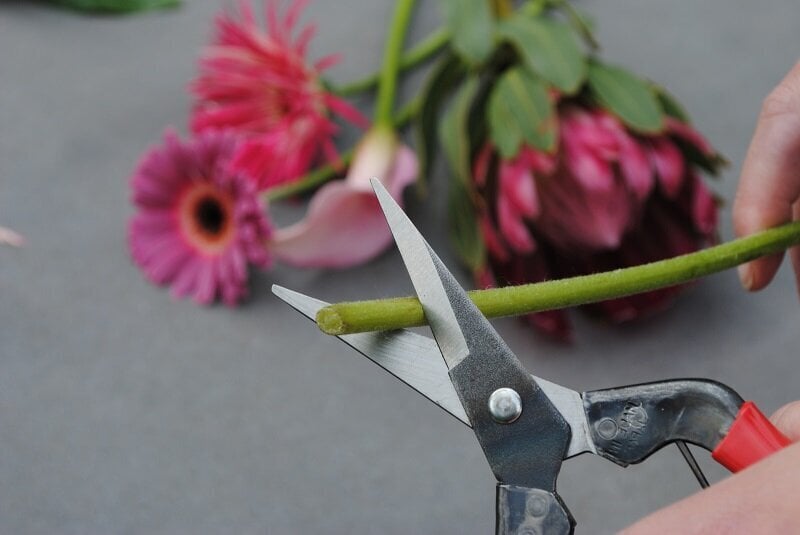 Ziedu šķēres Okatsune ar gariem asmeņiem, mīkstu kātu griešanai cena un informācija | Dārza instrumenti | 220.lv