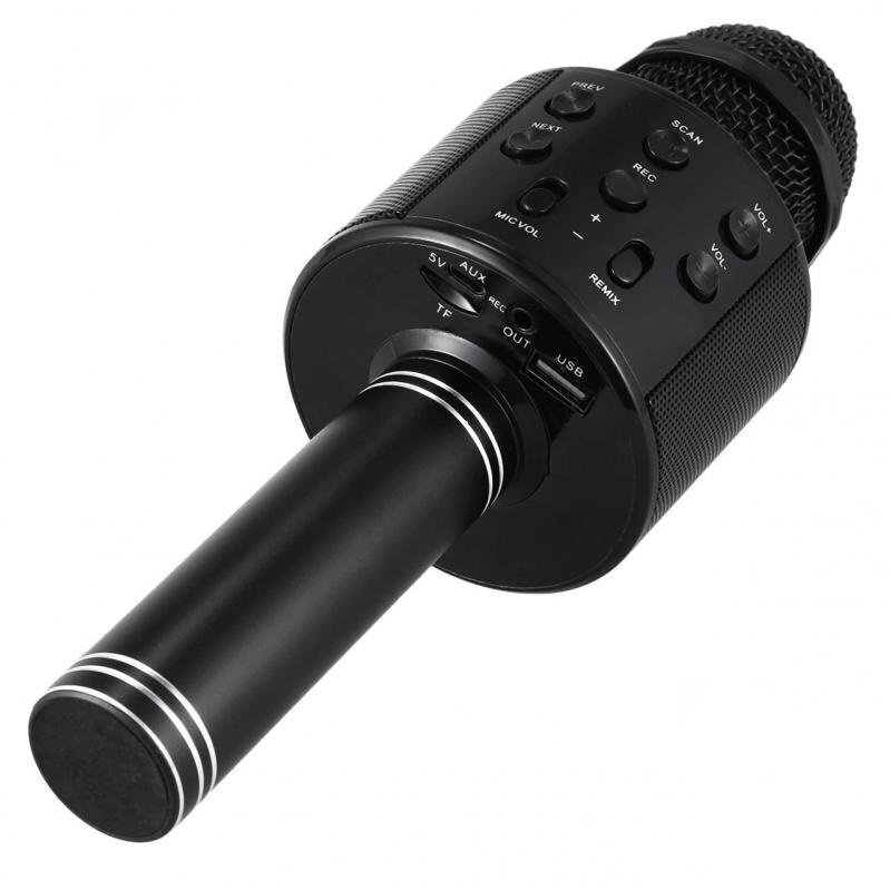 Hallo WS-858 Bluetooth karaoke mikrofons ar skaļruni цена и информация | Attīstošās rotaļlietas | 220.lv