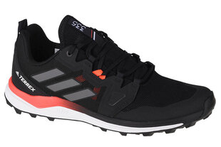 Кеды мужские Adidas Terrex Agravic Trail FX6859 цена и информация | Кроссовки для мужчин | 220.lv