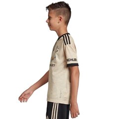 Футболка для мальчиков Adidas Manchester FC Away JSY Y Junior DX8945, коричневая цена и информация | Рубашки для мальчиков | 220.lv