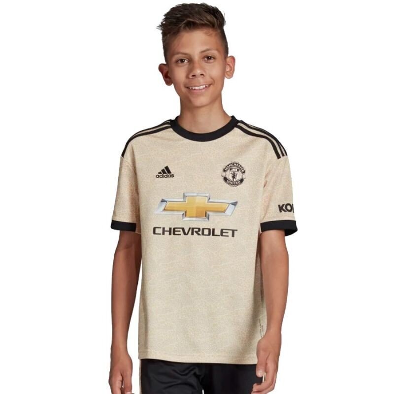 Zēnu T-krekls Adidas Manchester FC Away JSY Y Junior DX8945, brūns cena un informācija | Zēnu krekli | 220.lv