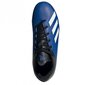 Futbola apavi Adidas X 19.4 FxG JR EF1615, zili цена и информация | Futbola apavi | 220.lv