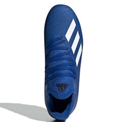 Futbola apavi Adidas X 19.3 FG J EG7152, zili cena un informācija | Futbola apavi | 220.lv