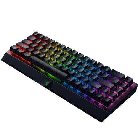 Mehāniskā tastatūra, Razer BlackWidow V3 Mini HyperSpeed, RGB, Yellow Switch, Melna, RU цена и информация | Klaviatūras | 220.lv