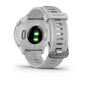 Garmin Forerunner® 55 White cena un informācija | Viedpulksteņi (smartwatch) | 220.lv