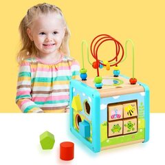 Деревянный куб с лабиринтом 18 мес. + Tooky Toy цена и информация | Игрушки для малышей | 220.lv