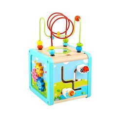 Koka kubs ar labirintu 18 mēn.+ Tooky Toy cena un informācija | Rotaļlietas zīdaiņiem | 220.lv