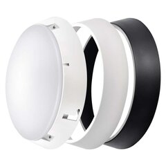 Led- Griestu, sienas lampa 14W WW IP54 цена и информация | Потолочные светильники | 220.lv