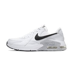 Vīriešu sporta apavi NIKE AIR MAX EXCEE цена и информация | Кроссовки для мужчин | 220.lv