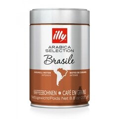 Pupiņu kafija Illy Arabica Selection Brazīlija ,250g цена и информация | Кофе, какао | 220.lv