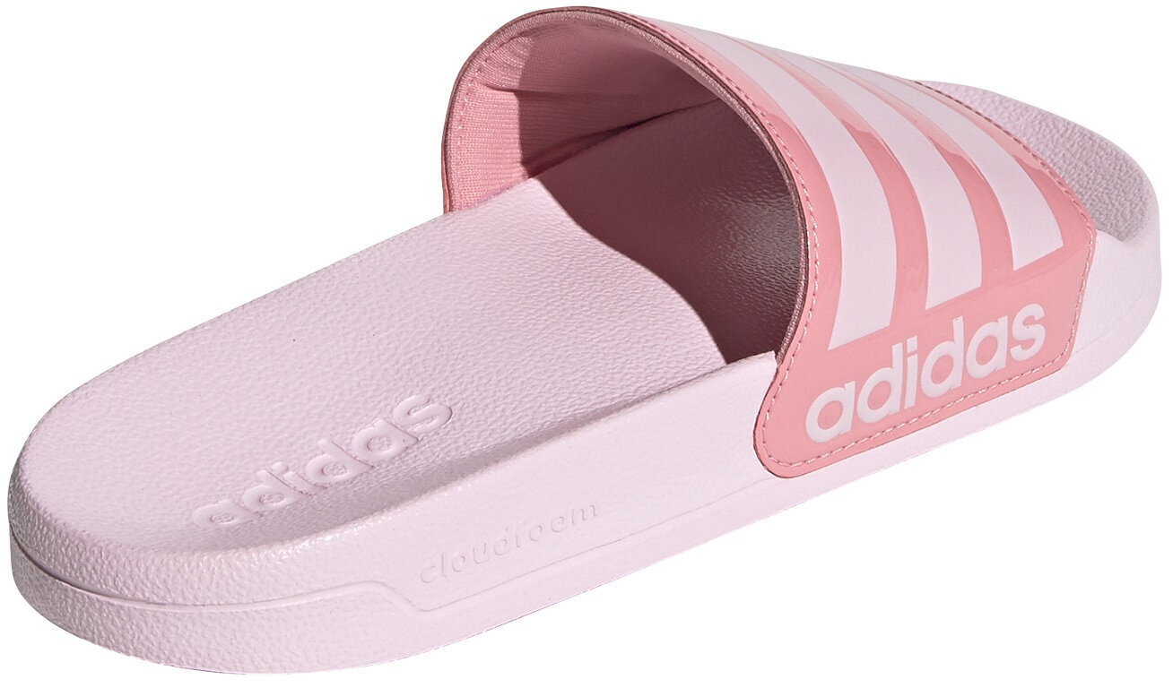 Adidas Pludmales Čības Adilette Shower Pink FZ2853/5 цена и информация | Iešļūcenes, čības sievietēm | 220.lv