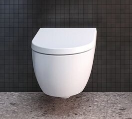 Подвесной унитаз Ideal Standard WC Blend Curve Aquablade с медленно открывающейся крышкой T374901 / T376001 цена и информация | Унитазы | 220.lv