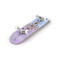 Скейтборд Enuff Flash Purple/Bue 8 IN цена и информация | Скейтборды | 220.lv