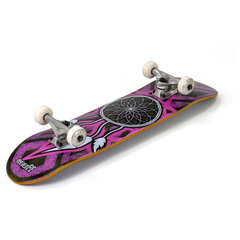 Скейтборд Enuff Dreamcatcher Complete Grey/Pink 7.75" x 31.5" цена и информация | Скейтборды | 220.lv