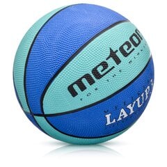 Баскетбольный мяч Meteor Layup 3 Синий цена и информация | Баскетбольные мячи | 220.lv