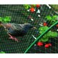 Aizsargājošs tīkls pret putniem - 8 x 10 m cena un informācija | Dārza instrumenti | 220.lv