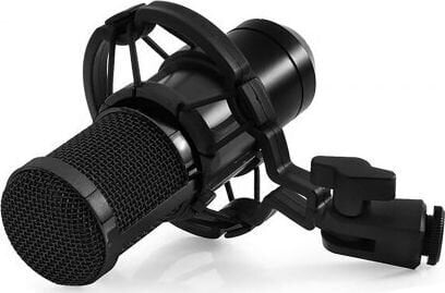 Mikrofon Media-Tech MT396 cena un informācija | Mikrofoni | 220.lv