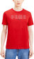 Puma T-Krekli Brand Tee High Risk Red 584509 11/2XL цена и информация | Vīriešu T-krekli | 220.lv