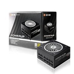 Chieftec POWERUP 650W cena un informācija | Barošanas bloki (PSU) | 220.lv