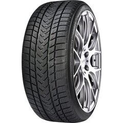 GRIPMAX Suregrip Pro Winter 285/30R21 100V XL цена и информация | Зимняя резина | 220.lv