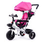 Troto / ratiņu rozā Ecotoys cena un informācija | Rotaļlietas zīdaiņiem | 220.lv