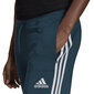Adidas Bikses W Sp Lghtw Pant Green GL9537/S cena un informācija | Vīriešu jakas | 220.lv