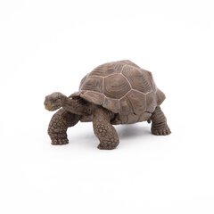 Figūriņa Papo Galapagu bruņurupucis cena un informācija | Rotaļlietas zēniem | 220.lv