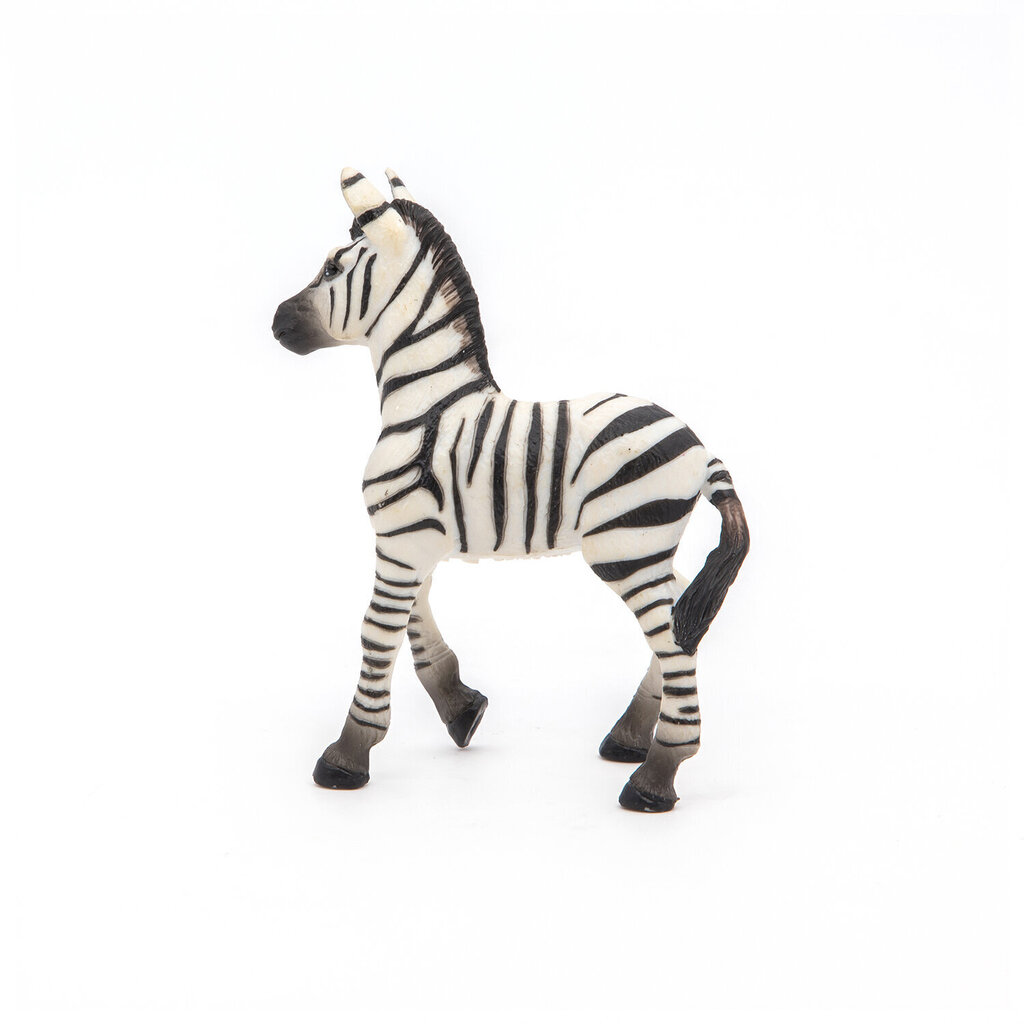 Figūriņa Papo zebras mazulis цена и информация | Rotaļlietas zēniem | 220.lv