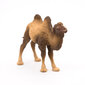 Figūriņa Papo kamielis cena un informācija | Rotaļlietas zēniem | 220.lv